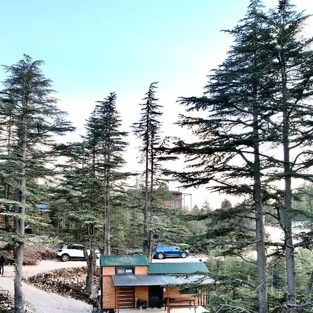 Cedrus Life Tesisi *