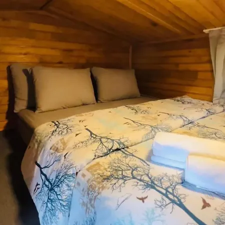 Cedrus Life Tesisi Campsite